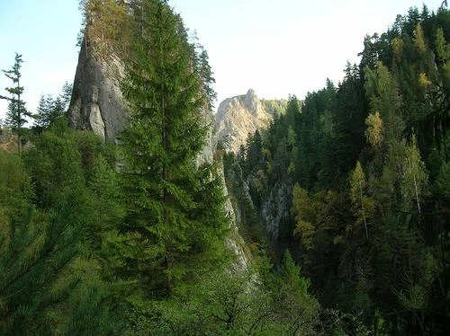 Cheile Șugăului