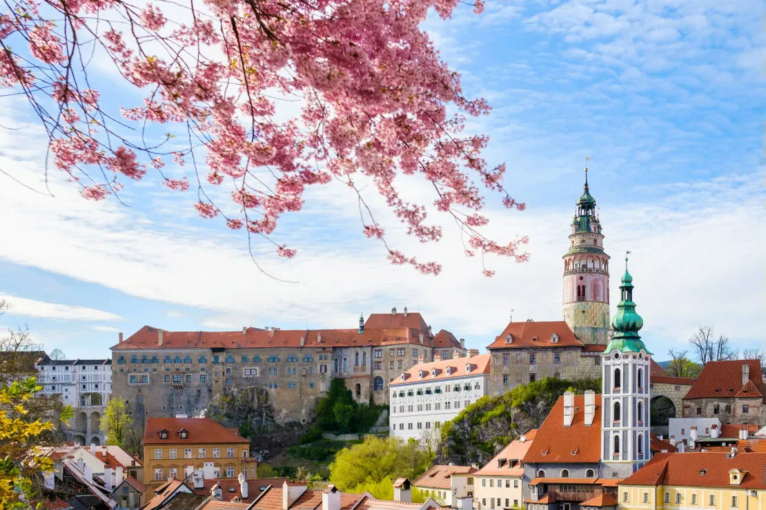 Despre Cesky Krumlov  vedere panoramica cesky krumlov florile roz