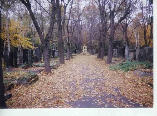 Cimitirul Olšany